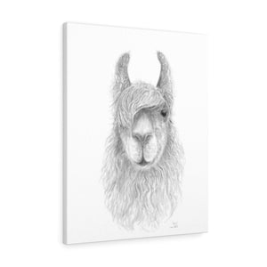 CHRIS Llama - Art Canvas