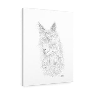 Meredith Llama - Art Canvas