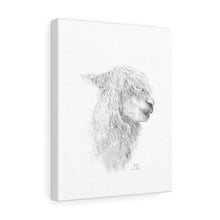 BAILIE Llama - Art Canvas