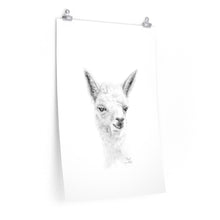 ROSIE Llama- Art Paper Print