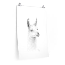 EVA Llama- Art Paper Print