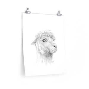 PHILLIP Llama- Art Paper Print