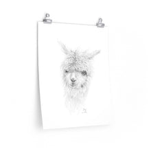 LILY Llama- Art Paper Print