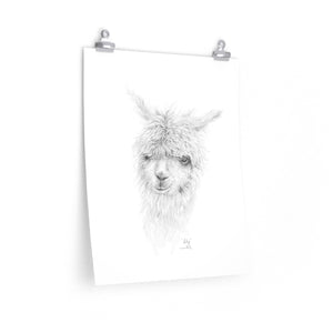 LILY Llama- Art Paper Print