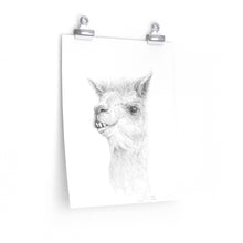 NOAH Llama- Art Paper Print