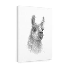 Rojo Llama- Art Canvas