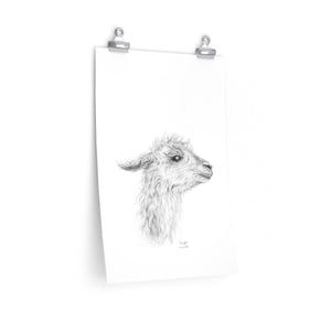 MENGKHA Llama- Art Paper Print