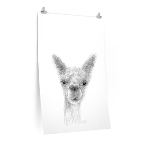 MARGARET Llama- Art Paper Print