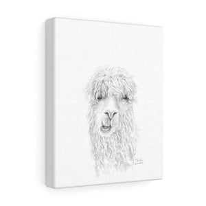 BROOKE Llama - Art Canvas