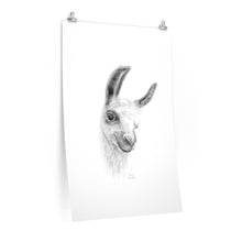 KARIN Llama- Art Paper Print