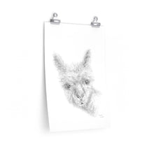 MEADOW Llama- Art Paper Print