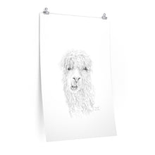 BROOKE Llama- Art Paper Print