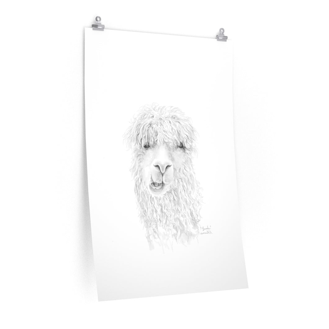 BROOKE Llama- Art Paper Print