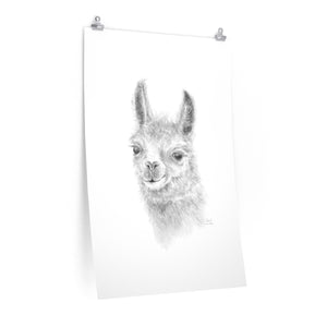 SARA Llama- Art Paper Print