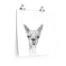 MARGARET Llama- Art Paper Print