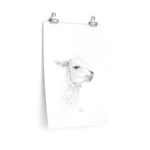 ERICA Llama- Art Paper Print