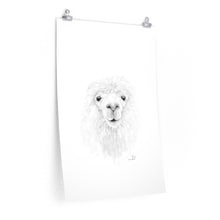 RORY Llama- Art Paper Print