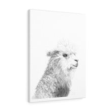 LAUREN Llama - Art Canvas