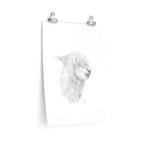 BAILIE Llama- Art Paper Print