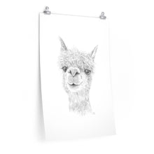 DAKOTA Llama- Art Paper Print