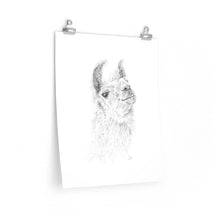 RODNEY Llama- Art Paper Print