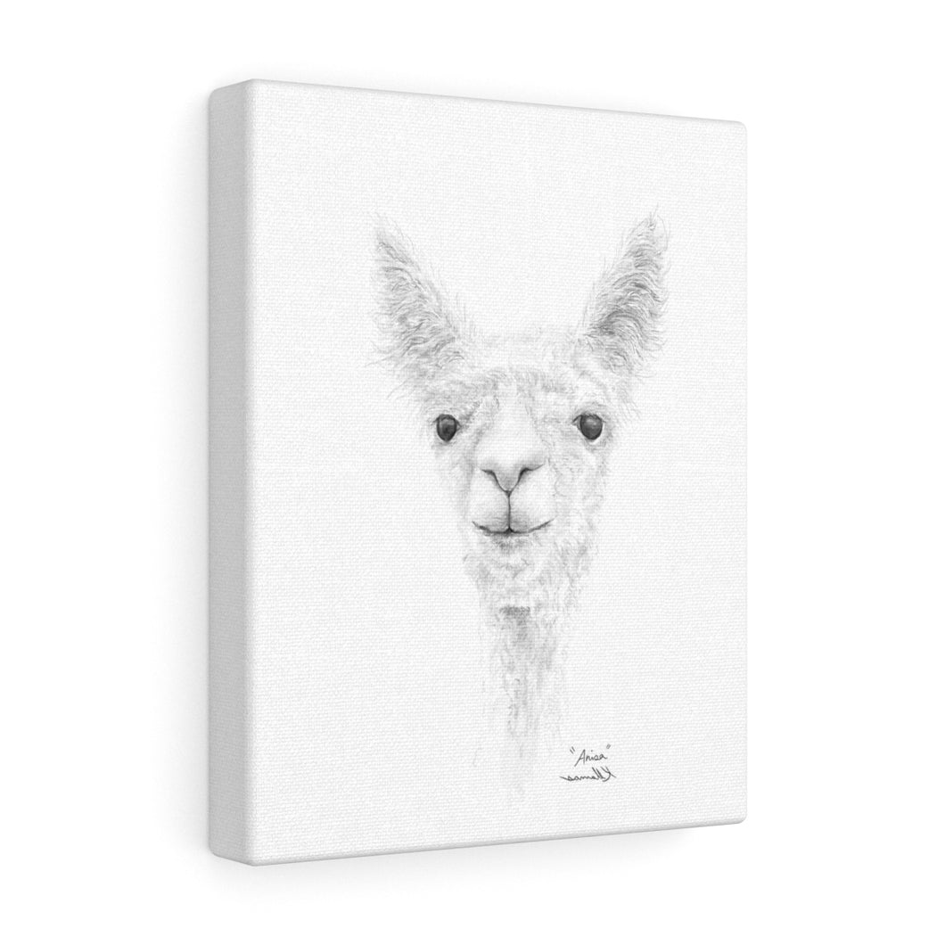 ANISA Llama- Art Canvas