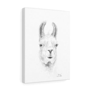 BROWN Llama - Art Canvas