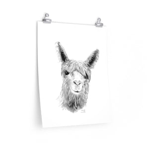 MIRANDA Llama- Art Paper Print