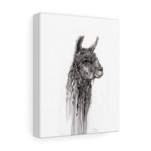 CHARLENE Llama - Art Canvas