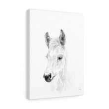 Cooper Horse - Animal Art Canvas