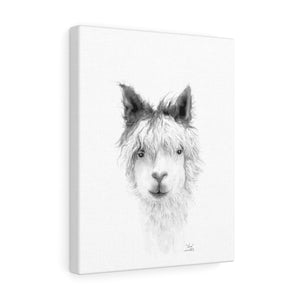 KARA Llama - Art Canvas