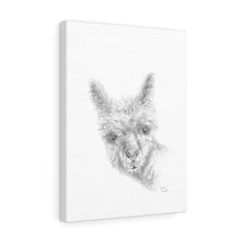 MEADOW Llama - Art Canvas