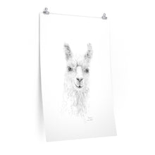 NICOLE Llama- Art Paper Print