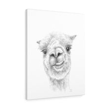 Myka Llama - Art Canvas