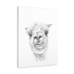 Myka Llama - Art Canvas