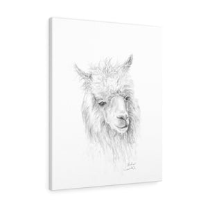 AUDRA Llama - Art Canvas