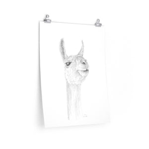 AMY Llama- Art Paper Print