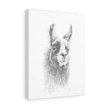 ANNIE Llama - Art Canvas