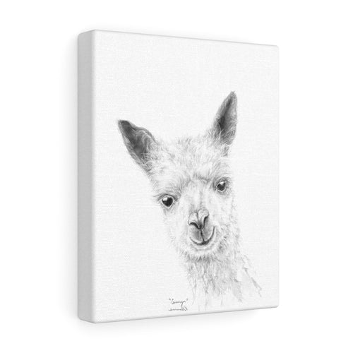 CAMRYN Llama - Art Canvas