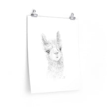 MELODY Llama- Art Paper Print
