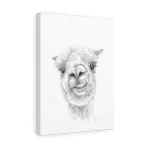 Myka Llama - Art Canvas