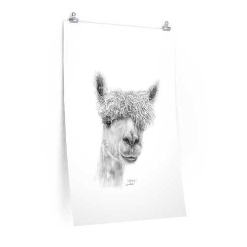 ASHLEY Llama - Art Paper Print