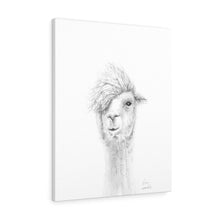 KEN Llama - Art Canvas