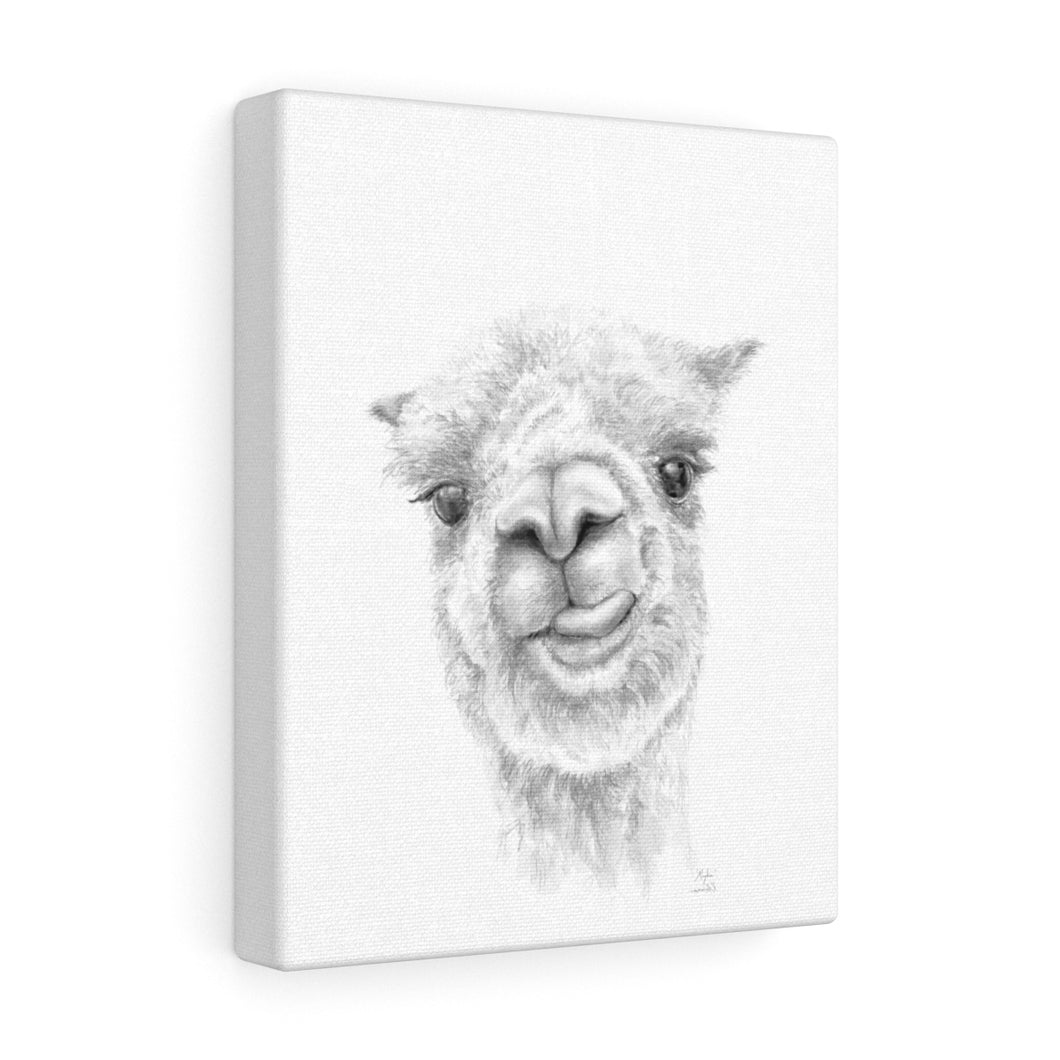 Myka Llama - Art Canvas