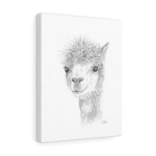 CHRISTINE Llama - Art Canvas