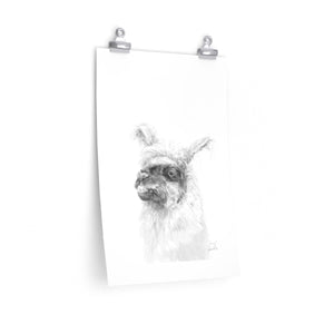 KERRY Llama- Art Paper Print