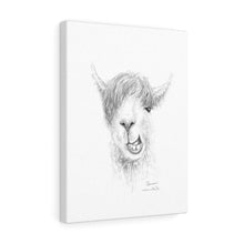 SAREN Llama - Art Canvas