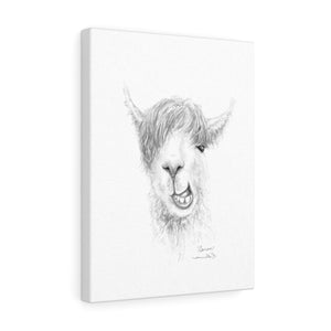 SAREN Llama - Art Canvas