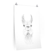 ZAILAH Llama- Art Paper Print