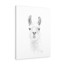 LINH Llama - Art Canvas